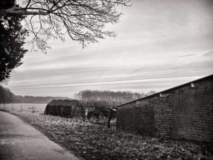 Boerderij Elshof